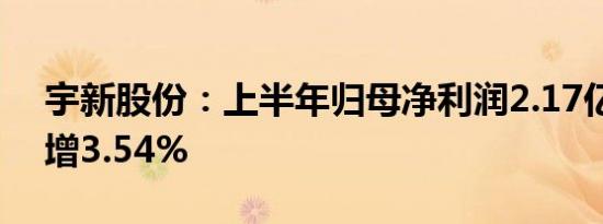 宇新股份：上半年归母净利润2.17亿元同比增3.54%