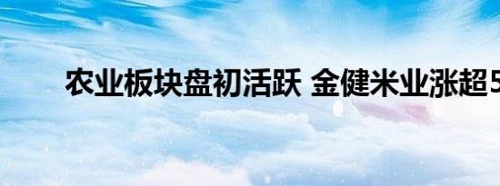 农业板块盘初活跃 金健米业涨超5%