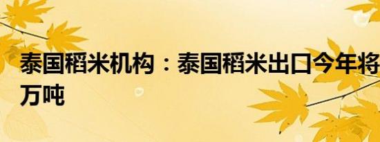 泰国稻米机构：泰国稻米出口今年将超过800万吨