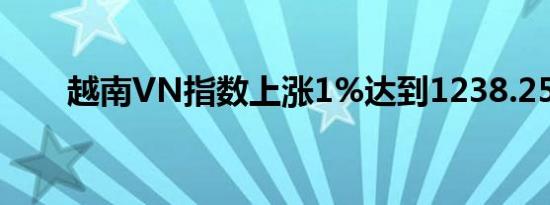 越南VN指数上涨1%达到1238.25点