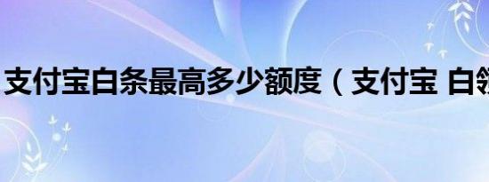 支付宝白条最高多少额度（支付宝 白领日记）