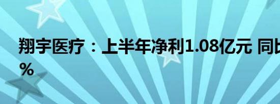 翔宇医疗：上半年净利1.08亿元 同比增169%