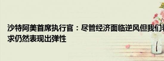 沙特阿美首席执行官：尽管经济面临逆风但我们看到全球需求仍然表现出弹性