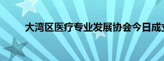 大湾区医疗专业发展协会今日成立