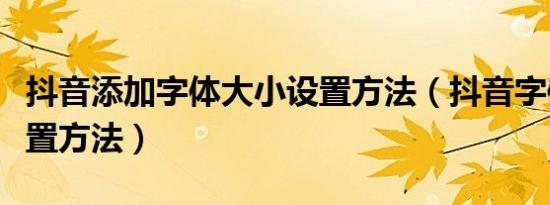 抖音添加字体大小设置方法（抖音字体大小设置方法）