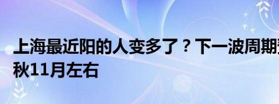 上海最近阳的人变多了？下一波周期预测在今秋11月左右