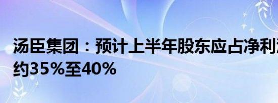 汤臣集团：预计上半年股东应占净利润同比降约35%至40%