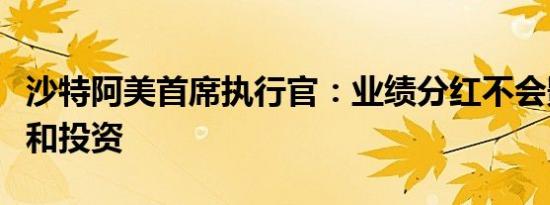 沙特阿美首席执行官：业绩分红不会影响并购和投资