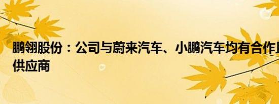 鹏翎股份：公司与蔚来汽车、小鹏汽车均有合作且均为一级供应商