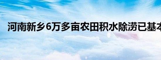 河南新乡6万多亩农田积水除涝已基本完成