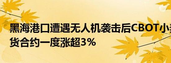 黑海港口遭遇无人机袭击后CBOT小麦连续期货合约一度涨超3%