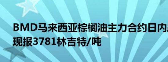 BMD马来西亚棕榈油主力合约日内跌超2%现报3781林吉特/吨