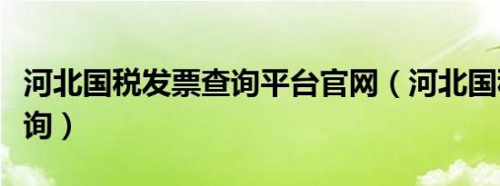 河北国税发票查询平台官网（河北国税发票查询）