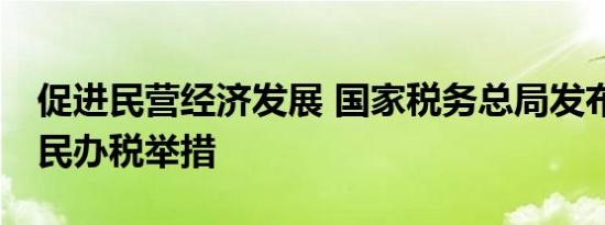 促进民营经济发展 国家税务总局发布28条便民办税举措