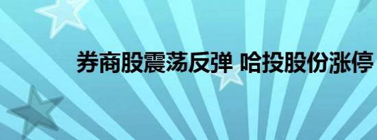 券商股震荡反弹 哈投股份涨停