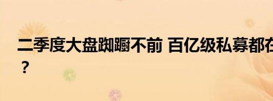 二季度大盘踟蹰不前 百亿级私募都在投什么？