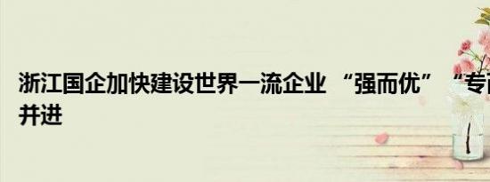 浙江国企加快建设世界一流企业 “强而优”“专而精”齐头并进