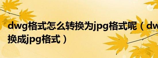 dwg格式怎么转换为jpg格式呢（dwg怎么转换成jpg格式）