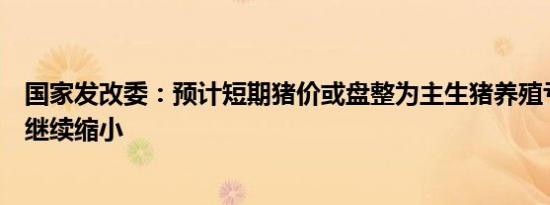 国家发改委：预计短期猪价或盘整为主生猪养殖亏损空间或继续缩小