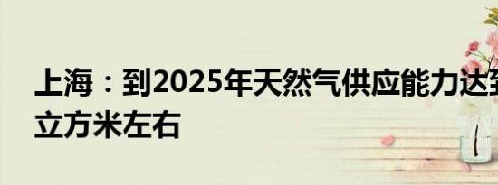 上海：到2025年天然气供应能力达到137亿立方米左右