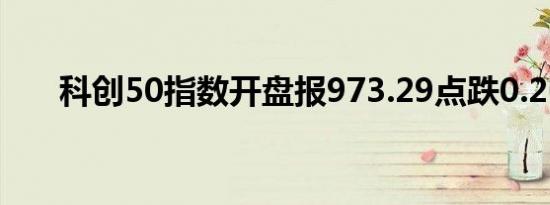 科创50指数开盘报973.29点跌0.26%