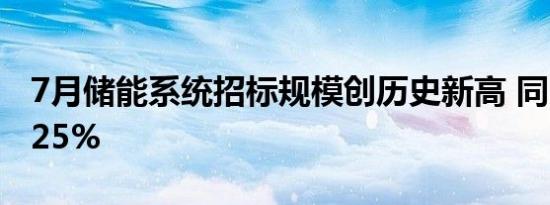 7月储能系统招标规模创历史新高 同比增长425%