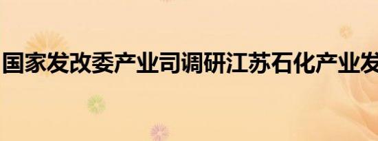 国家发改委产业司调研江苏石化产业发展情况