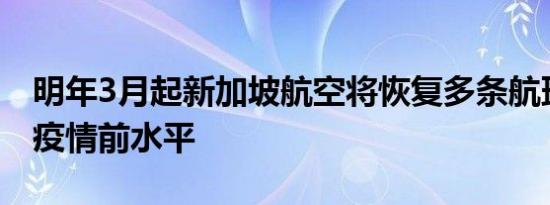 明年3月起新加坡航空将恢复多条航班趟次至疫情前水平