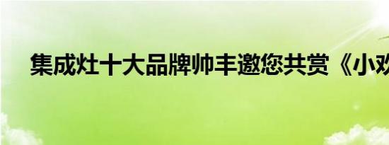 集成灶十大品牌帅丰邀您共赏《小欢喜》