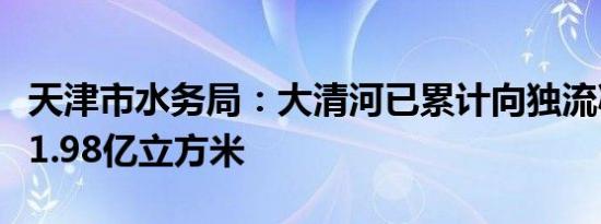 天津市水务局：大清河已累计向独流减河行洪1.98亿立方米