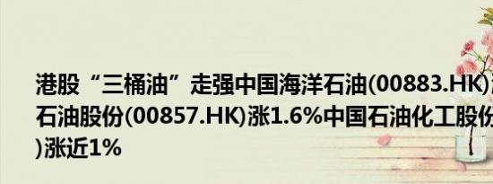 港股“三桶油”走强中国海洋石油(00883.HK)涨超2%中国石油股份(00857.HK)涨1.6%中国石油化工股份(00386.HK)涨近1%