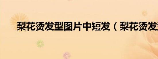 梨花烫发型图片中短发（梨花烫发型）