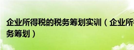 企业所得税的税务筹划实训（企业所得税的税务筹划）