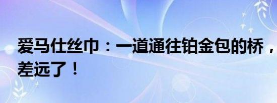 爱马仕丝巾：一道通往铂金包的桥，皮带呢?差远了！