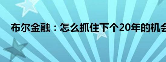 布尔金融：怎么抓住下个20年的机会点？