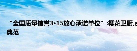 “全国质量信誉3·15放心承诺单位”:樱花卫厨,真正的匠心典范