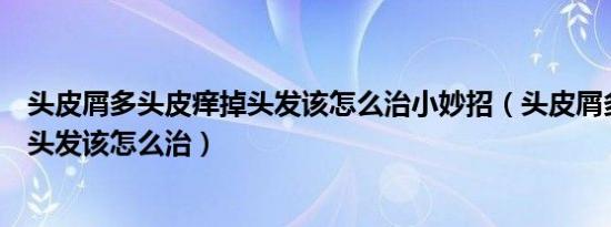 头皮屑多头皮痒掉头发该怎么治小妙招（头皮屑多头皮痒掉头发该怎么治）