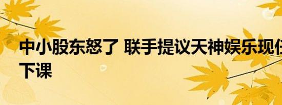 中小股东怒了 联手提议天神娱乐现任董事全下课