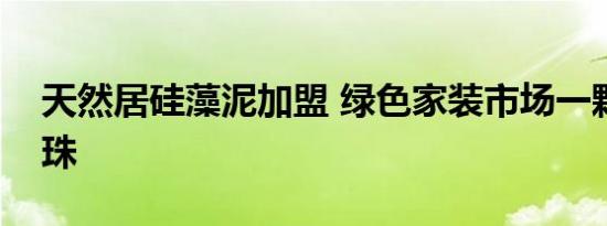 天然居硅藻泥加盟 绿色家装市场一颗耀眼明珠