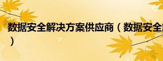 数据安全解决方案供应商（数据安全解决方案）