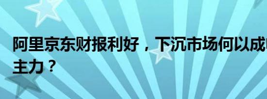 阿里京东财报利好，下沉市场何以成电商增长主力？