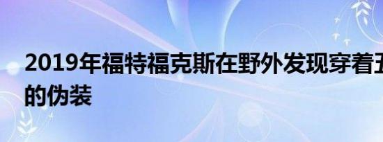 2019年福特福克斯在野外发现穿着五颜六色的伪装