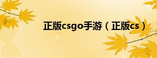 正版csgo手游（正版cs）