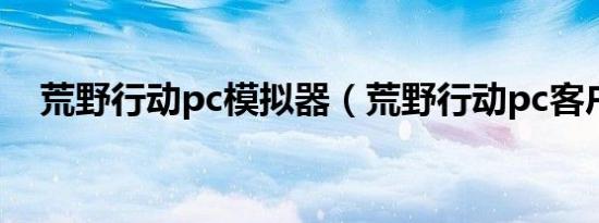 荒野行动pc模拟器（荒野行动pc客户端）