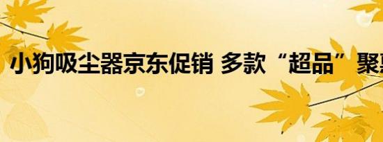 小狗吸尘器京东促销 多款“超品”聚惠来袭