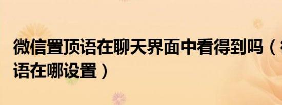 微信置顶语在聊天界面中看得到吗（微信置顶语在哪设置）