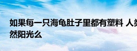 如果每一只海龟肚子里都有塑料 人类还有自然阳光么