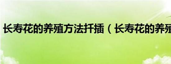 长寿花的养殖方法扦插（长寿花的养殖方法）