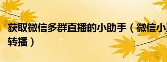 获取微信多群直播的小助手（微信小助手多群转播）