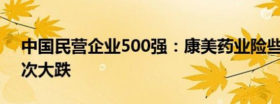 中国民营企业500强：康美药业险些落榜 名次大跌